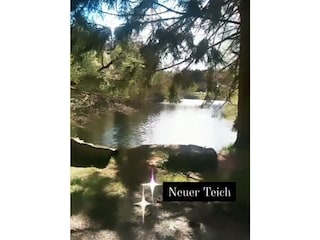 Neuer Teich