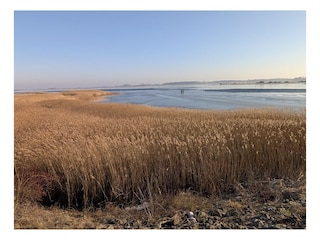 Blick Richtung  Ummanz