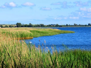 ca. 10 Minuten Fußweg zum Bodden