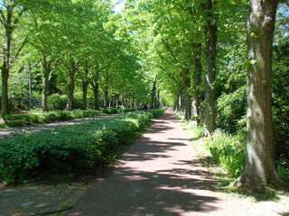Casa per le vacanze Schoorl Ambiente 23
