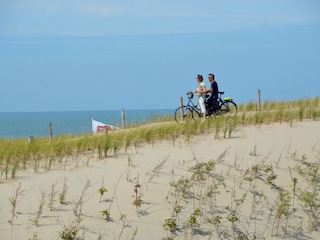 Casa per le vacanze Schoorl Ambiente 18