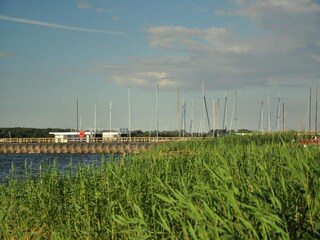 Huisboot Ribnitz-Damgarten Omgeving 37