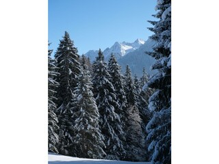 Nahe gelegene Ausflugsziele