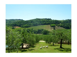 Appartamento per vacanze Certaldo Registrazione all'aperto 4