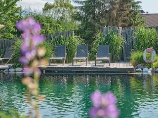 Liegeplatz-am-Schwimmteich