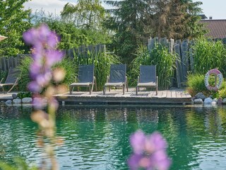 Liegeplatz-am-Schwimmteich