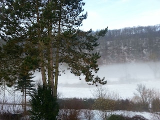 Der Garten im Winter_a