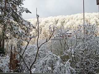 Der Garten im Winter_d_Schnee_IMG_20220108_100606