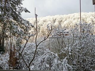 Der Garten im Winter_d_Schnee_IMG_20220108_100606