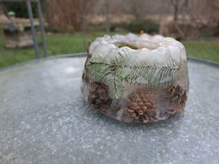 Der Garten im Winter_ein Eiskuchen