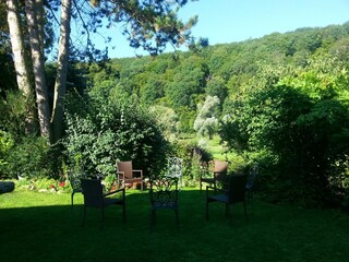 Der Garten im Sommer_a_ bietet Licht- und Schatten