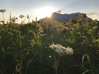 35943754_1471498902954027_8708421435342716928_n