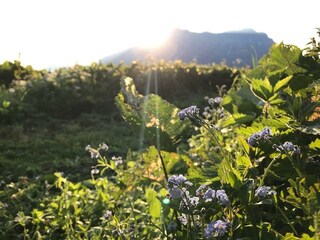 36002528_1471497352954182_1387797104063152128_n