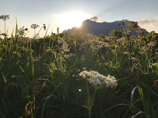 35943754_1471498902954027_8708421435342716928_n