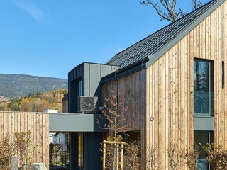 Villa Černý Důl Außenaufnahme 5