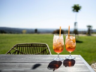 Villa Náchod Außenaufnahme 14