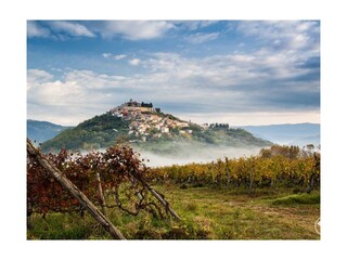Villa Vižinada Environnement 37