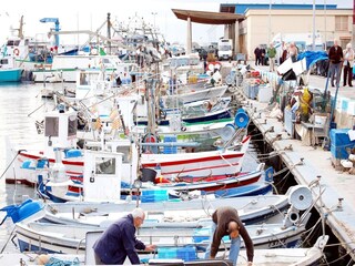 Apartment Roses Environment 22