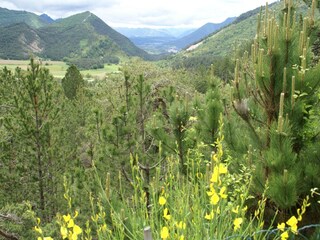 Ferienhaus Die Außenaufnahme 3