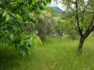 Ferienhaus Die Umgebung 32