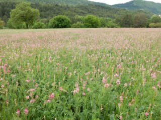 Ferienhaus Die Umgebung 34