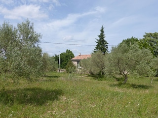 Ferienhaus Bedarieux Außenaufnahme 5