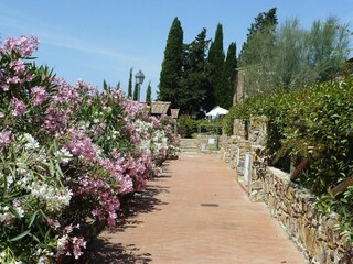 Parc de vacances Suvereto Enregistrement extérieur 12