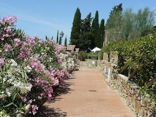 Vakantiepark Suvereto Buitenaudio-opname 12