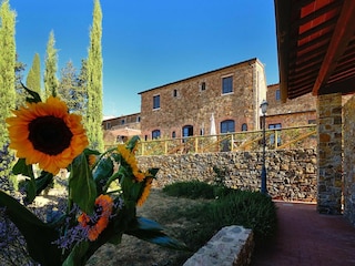 Vakantiepark Suvereto Buitenaudio-opname 19