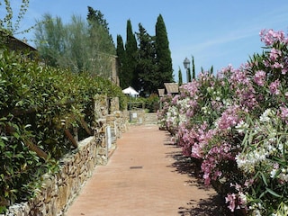 Holiday park Suvereto Outdoor Recording 21