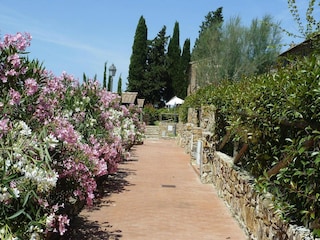 Ferienpark Suvereto Außenaufnahme 16