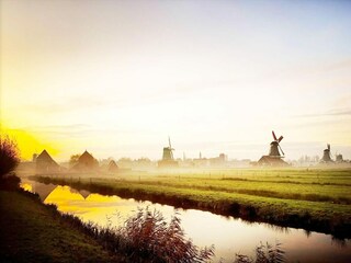 Parque de vacaciones West-Graftdijk Entorno 16