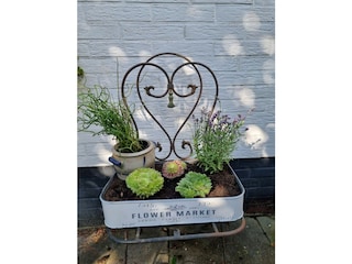 Holiday apartment Burhave Outdoor Recording 4