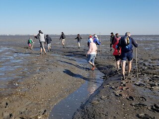 Appartement de vacances Burhave Environnement 29