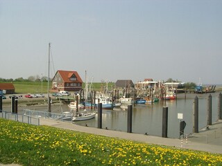 Fedderwardersieler Hafen
