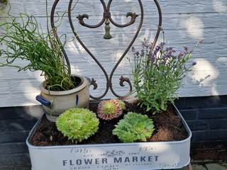 Apartamento de vacaciones Burhave Grabación al aire libre 3