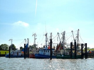 Fedderwardersieler Hafen