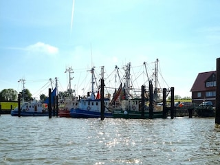 Holiday apartment Burhave Environment 22