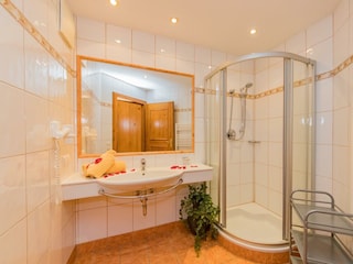 App.Berkristall Typ D