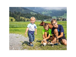 tiere-kinder-bauernhofurlaub-flachau-fingerhof-1-1