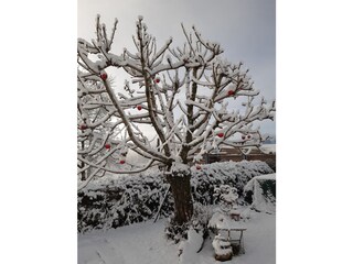 Ferienwohnung Waltenhofen Außenaufnahme 9