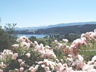 Ferienwohnung Waltenhofen Außenaufnahme 5