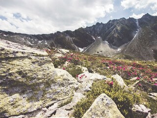 IMG_0256Reedsee_20171