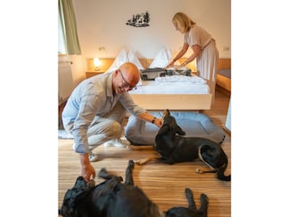 5h Angekommen und auspacken mit Hunden  (2)