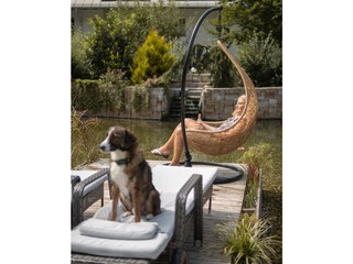 Entspannung am Hundebadeteich im Hängekorb mit Ape