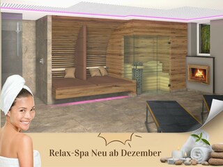 Sauna neu