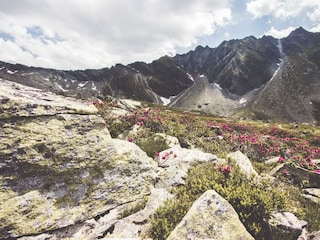 IMG_0256Reedsee_20171