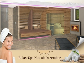 Sauna neu