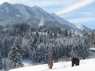 Garten im Winter "Oberstdorfer Traumblick"