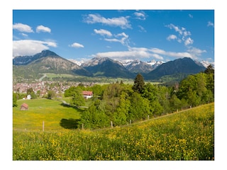 Aussicht Frühling - Oberstdorfer Traubmblick -